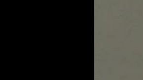 George Zimmerman ha tenido varios tropiezos con la justicia.