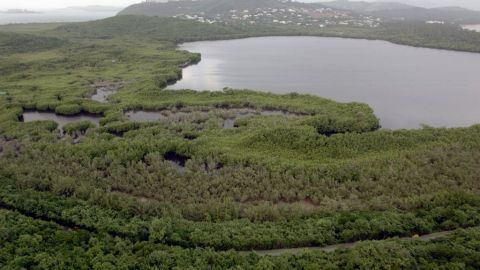 Las autoridades locales investigan si la pérdida de brillo de la Laguna Grande se debe a la construcción de un sistema de bombeo de  alcantarillado en las inmediaciones.