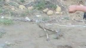 IM_20131122_DEPORTES0902_311229878