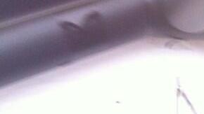 Vicepresidente reza con activistas