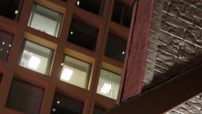 Arrancan las celebraciones navideñas en Chicago con la iluminación del árbol en la Plaza Daley.