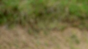 El trabajo de Miguel Herrera será revisado meticulamente.