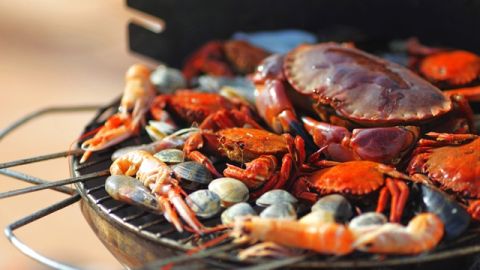 La olla de cangrejos mexicana que está llena y en la que los de abajo se aseguran de que los de arriba no puedan escapar.