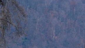 Uno de los vagones quedó a sólo pulgadas de la orilla donde se unen el río Hudson y el Harlem.