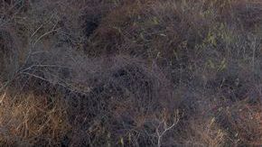 Las autoridades se enfocan en responder si el accidente fue producto de un error humano o de la maquinaria del tren.