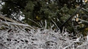 Los habitantes de la ciudad de Richardson también sufrieron los efectos del fenómeno climatológico.