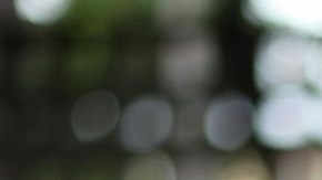 Álvaro Botero, es uno de los miembros de CIDH, que escuchó, aproximadamente, 3,994 denuncias por parte de haitianos desnacionalizados.