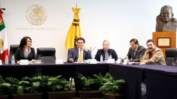 La bancada izquierdista se opone a la aprobación de la iniciativa del presidente Enrique Peña Nieto.
