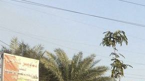 Las cifras de la ONU destacan que murieron 8,127 entre enero y noviembre de 2013.