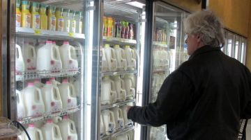 El precio de la leche en los supermercados puede pasar de $3,42 por galón actualmente a hasta $8 por galón el próximo año.