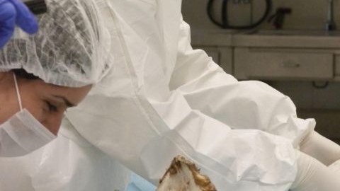 Forenses han identificado cadáveres de pandilleros rivales de la Mara y de personas de la zona en el cementerio clandestino hallado en El Salvador.