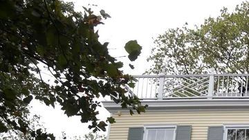 Gracie Mansion no ha albergado a una familia hace más de 15 años.
