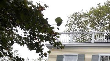 Gracie Mansion no ha albergado a una familia hace más de 15 años.