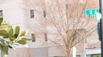 El historiador defiende la preservación del castellano.