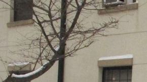 Angel de Jesús, de Hartford, Connecticut, celebra el pago de horas extra gracias a la nevada.