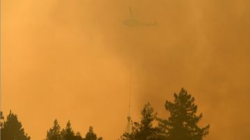 El fuego afecta al Bosque Nacional de Los Padres.