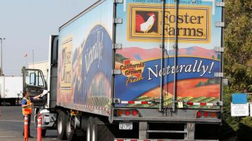 El brote de salmonela se inició en las plantas procesadoras de carne de pollo Foster Farms ubicadas en California.