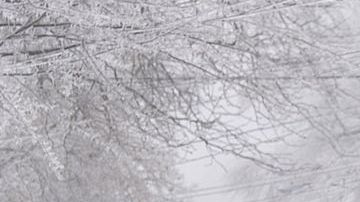 El peso del hielo ha derrumbado árboles y tendidos eléctricos en varias zonas del país, dejando a miles de personas sin electricidad.