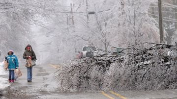 El peso del hielo ha derrumbado árboles y tendidos eléctricos en varias zonas del país, dejando a miles de personas sin electricidad.