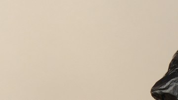 El cargamento de droga será sometido a análisis.