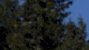 'Schumi' estaría más grave de lo que inicialmente se dijo.