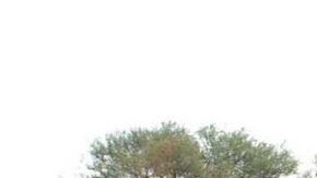 La seguridad fue reforzada en la entidad.