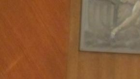 Los congresistas demócratas Al Green y  Joaquín Castro durante un foro sobre la reforma migratoria en la cámara de la Alcaldía de Houston.