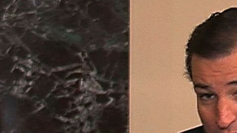 En octubre el Tea Party, encabezados por el senador Ted Cruz, logró bloquear la ley de presupuesto, lo que llevó al cierre de gobierno por 16 días.