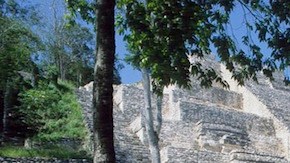 Reserva de la Biosfera de Calakmul