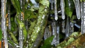 Una de las principales preocupaciones de las autoridades es el impacto que puede tener la ola de frío en el sector agrícola.