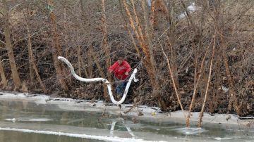 Desde ayer comenzaron las tareas de limpieza en el río Elk.