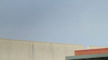 La víctima fue trasladado a un hospital de Tampa, donde murió.