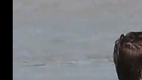 Emma Watson y Matthew Janney iniciaron el año de vacaciones en el Caribe.