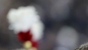 IM_20140120_DEPORTES0902_140129986