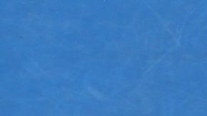 Emocionada la eslovaca en la cancha de la Rod Laver Arena.