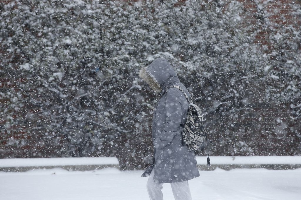 Experto advierte “Va a nevar bastante” El Diario NY