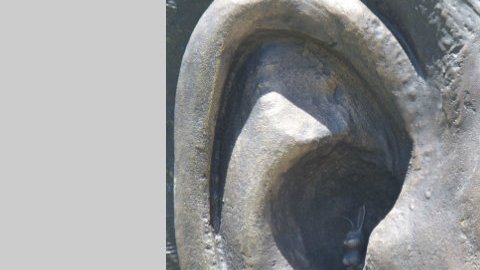 Como la estatua es alta (de casi 30 pies), para ver el conejo dentro de la oreja de la figura de Nelson Mandela hay que usar prismáticos (binoculares).
