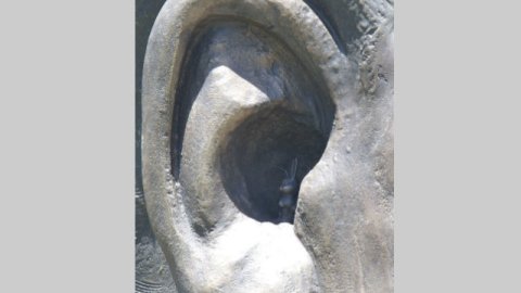 Como la estatua es alta (de casi 30 pies), para ver el conejo dentro de la oreja de la figura de Nelson Mandela hay que usar prismáticos (binoculares).