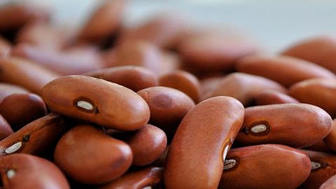 Los frijoles son una excelente fuente de proteína.
