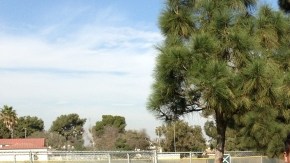 José Alvarenga posa con una de sus herramientas preferidas de un 'trabajo' llamado futbol, mismo que realiza con amor.