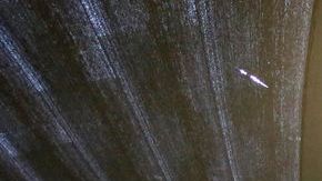 El logo de la liga en la yarda 50 del MetLife Stadium luce protegido por un domo ante las inclementes nevadas.