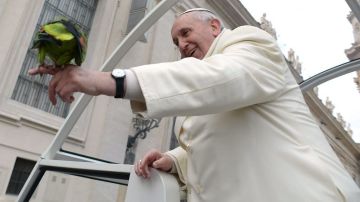El papa Francisco sostuvo el ave a cuatro días de que palomas del Vaticano fueran atacadas por una gaviota y un cuervo.