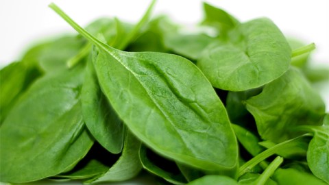 The tender spinach add flavor and calcium to your meal.