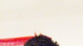 Todas las herramientas de admisión están disponibles en español.