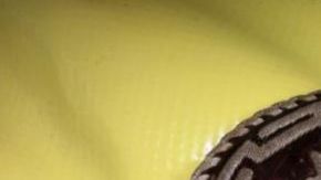 Hebilla de un cinturón hallada enel cuerpo de un hispano decapitado, encontrado en una zona alejada del noroeste de Wyoming. Las autoridades buscan ayuda para identificar a la víctima.