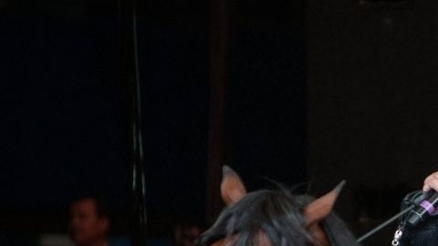 En 2012, Joan Sebastian ya se retiró cuando le regresó el cáncer.