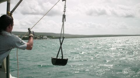 La NOAA emitió un reporte donde destaca una alta contaminación en la bahía puertorriqueña.