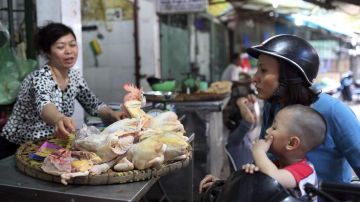 Las autoridades suspendieron las actividades en mercados de aves de corral vivas en Susong.