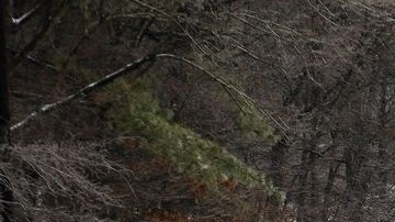 La mayoría de las muertes han ocurrido en las carreteras, donde el hielo provoca accidentes que envuelven varios vehículos.
