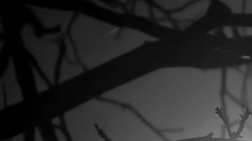 La luna llena se presenta al menos 12 veces al año.